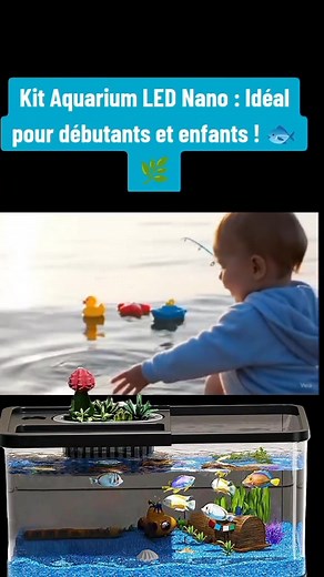 Ce kit complet d’aquarium LED Nano 🐟 est parfait pour les débutants et les enfants souhaitant découvrir l’aquariophilie. Compact et décoratif, il est fabriqué en verre transparent et comprend tout le nécessaire pour créer un petit écosystème aquatique à la maison. Idéal pour une chambre d’enfant ou comme décoration apaisante, ce mini aquarium allie simplicité, éclairage LED et soin facile des poissons 🌿✨. https://amzn.to/4qaeVb5 | Aladdin Mart