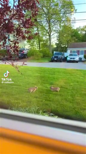 Jingle_Toons (@jingletoons5)’s videos with original sound - Jingle_Toons