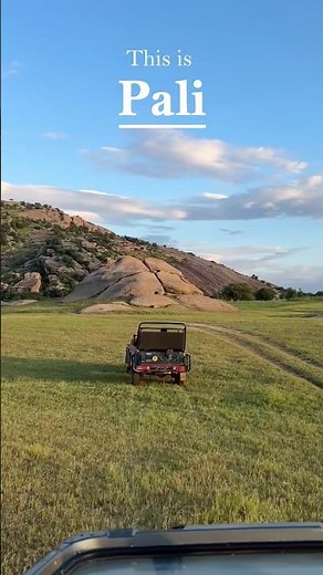 This is Pali, Rajasthan 🦚✨