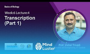 Mind Luster - Learn Lec 27 Transcription Part 1