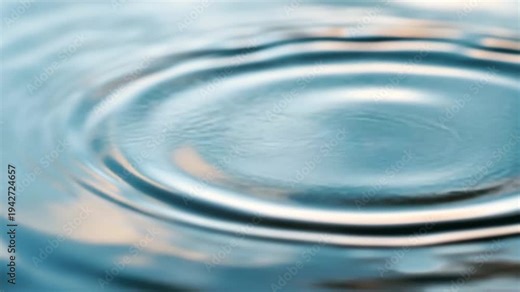 Gentle ripples spread across the water as sunlight highlights the surface. This moment captures the simple beauty of a lake during the evening