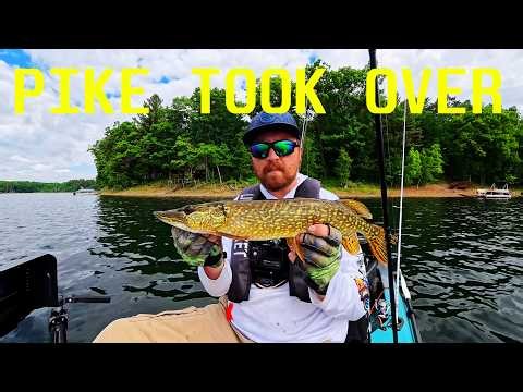 Papa & Joe Go North | THE PIKE TOOK OVER! Part 1/2
