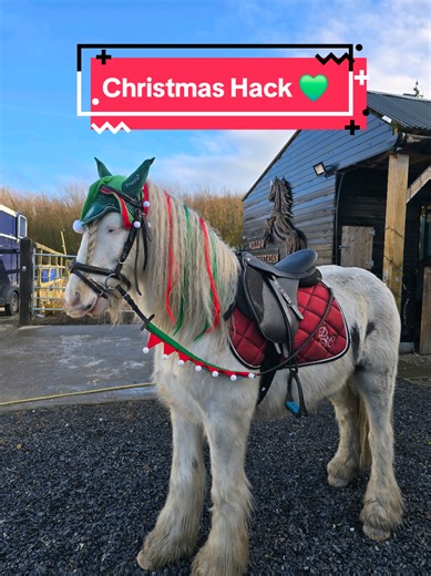 Brilliant day out for the Christmas Hack 🥰🎄 Out to the forest then the river for a a little cool down and drink followed by a rest stop and home all in about 3 hrs 💚 What a day we had for it ☀️ And yes, i had more horses to choose from but i wanted to take little Pablo the elf 💚 @Joshuacrowe96 equine @Sienna mc Gerty 🐴 @lexi mcgrath #horseriding #christmashack #equestrian #horsesoftiktok #horsecostume