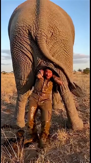 POV: You Chose the Wrong Animal Job 💩