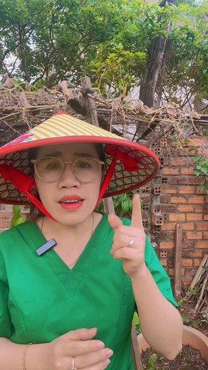 1M views · 20K reactions | Đừng ăn rau này nữa bệnh thận nhiều lắm rồi #tracayinsulinando #trainsulinando #tieuduongtuyp2 #KiemSoatTieuDuong #tieuduongtuyp3 #tieuduongvadaiduong #tieuduongtype2t #tiểuduongthaiky #tieuduong | Lê Thị Diễm Hương | Facebook