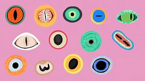 Which Animals Have the Best Eyesight