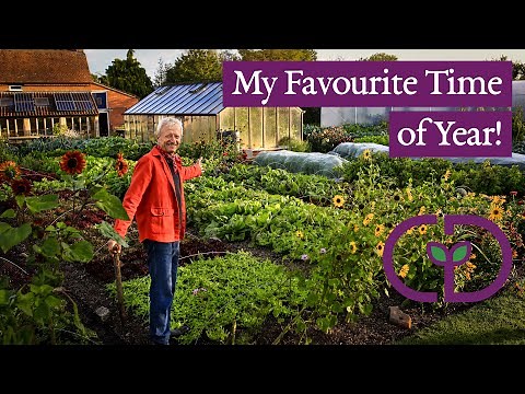 No dig tour with Charles Dowding, beds of vegetables 105% full!