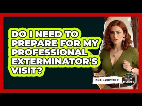 Do I Need To Prepare For My Professional Exterminator's Visit? - Insects and Invaders