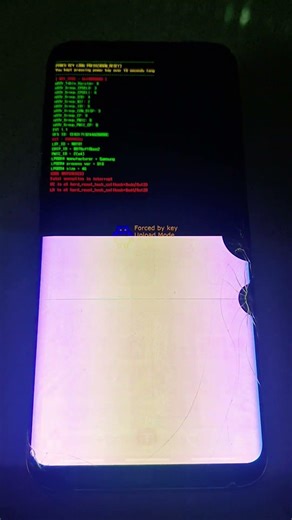 Samsung S8 Plus Forced Error
