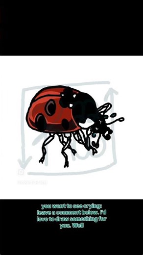 Ladybug Sticker Timelapse