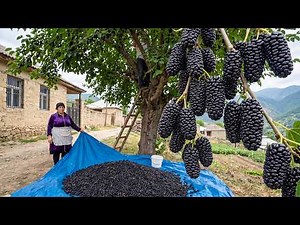 A Taste of Life in Mountain Village | Mulberry: A Culinary Adventure in a Remote Village