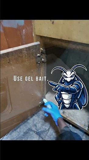 STOP Using Bug Bombs 🚫 They Make Roaches Worse