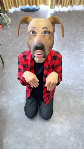 There's so much love for the dog.🐶😂 犬に対する愛情がとても多いです。