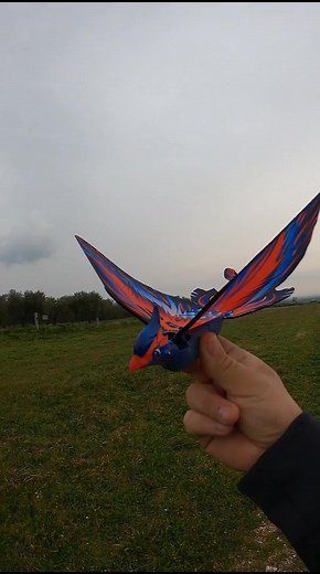 14K views · 313 reactions | RC BIRD #rc #birds #realistic #rcplane | RC Reporter | Facebook