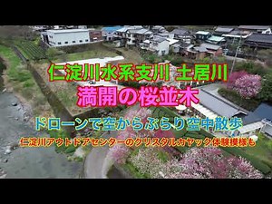 仁淀川町土居川沿い桜並木ドローン空撮