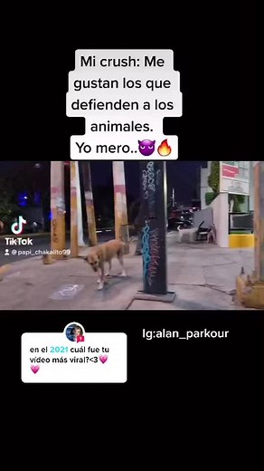 Responder a @.twqmeliozz #papichakalito99 #papichakalito