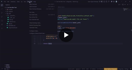 #computervision #opencv #python #artificialintelligence #facedetection #privacytech #machinelearning #aiprojects #buildinpublic #30daychallenge #techforgood #imageprocessing #softwareengineering | Diwakaran S
