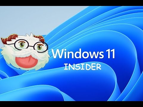 Arreglar Porofesor - Olverwolf en windows 11 insider preview