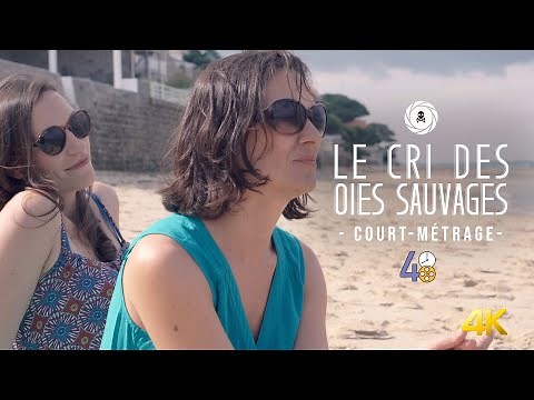 Le cri des oies sauvages