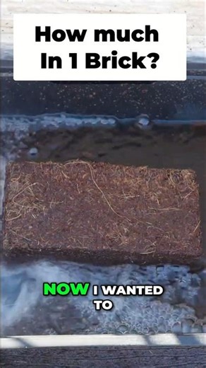 Coconut Coir Expansion: How Much Soil from One Brick? 🥥