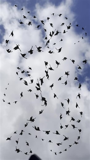 Loop Barcelona on Instagram: "Loop Barcelona 2025 is here. While Loop Festival officially kicks off today, conjuring mirages all around the city of Barcelona, Loop Fair will begin exactly one week from now, together with Loop Symposium, which starts in eight days. Discover the full program at https://loop-barcelona.com/agenda/"