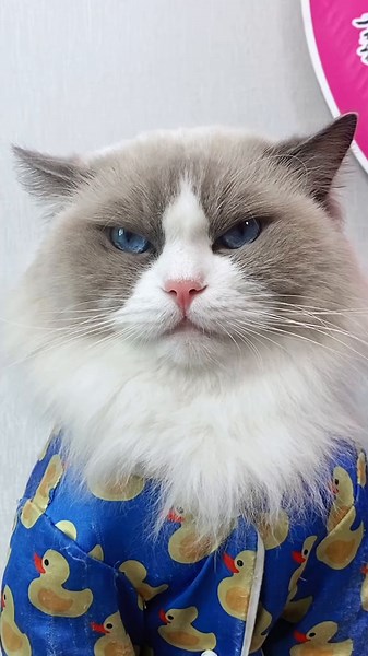 Puff Joins the Squid Game Challenge Experience