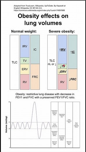 Obesity effects on lung volumes