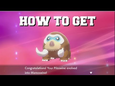 HOW TO EVOLVE PILOSWINE INTO MAMOSWINE IN POKEMON SWORD AND SHIELD (BEST METHOD)