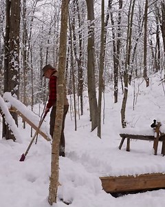 443K views · 3.8K reactions | My Wife & I Clear the New Off Grid Log Cabin Site Workshop Build. | Perfection Cabin | Facebook
