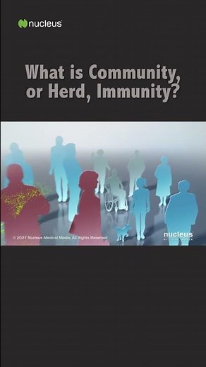 What is Herd Immunity? #shorts
