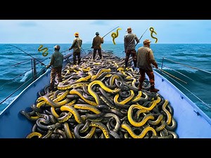 Fishing Boat Discovers Something TERRIFYING in the Sea That SHOCKS the Whole World!