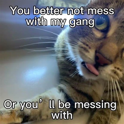 Join our new SMP for more fun videos like this! #smp #minecraft #minecraftsmp #minecraftserver