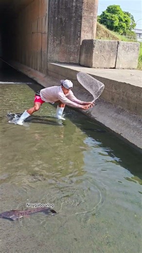 I saw BIG FISH Going down to tunnel 😱😱🐟🐟 #fishing #catchingfish #catfish #villagefishing #fish