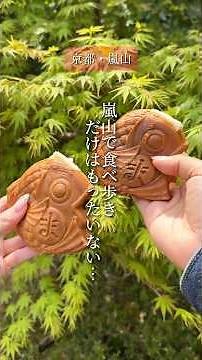 [Kyoto Arashiyama] Don't Just Stick to Food Stalls! The Ultimate 1-Day Plan to Enjoy Arashiyama 1...