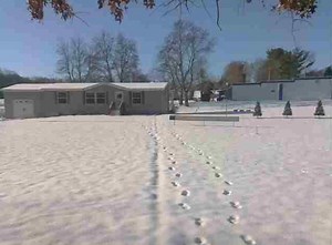 You can control this man's Christmas lights from your own computer