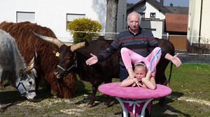 Circus Henry gastiert auf dem Auerbacher Festplatz noch bis Sonntag: Schlangenmädchen ist der Star - Nordbayerischer Kurier