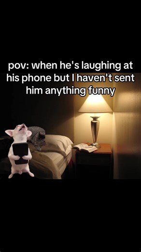 Understanding Relationship Humor: When Laughter Sparks Curiosity