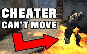 [CSGO][搬运][ScriptKid]用假外挂钓鱼CSGO作弊者