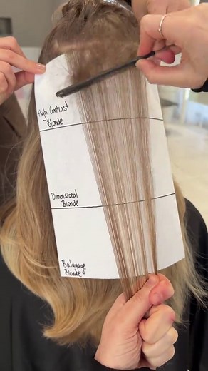 Lowlights on Blonde Hair Tutorial: Face Framing & Golden Brown