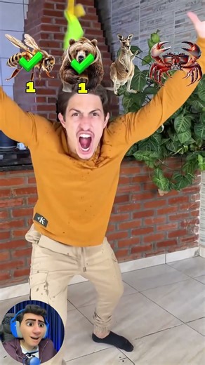 Balonu Hangi Hayvan Patlatır?