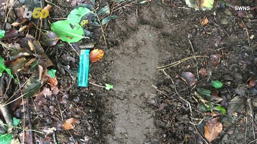 Giant, mysterious footprints unearthed in England — could they belong to a massive ancient creature?