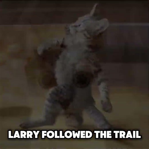 Evil Larry Meets His Dad #cat #scarystory #meme