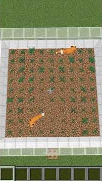 【マインクラフト】🦊キツネを使ったスイートベリー自動回収装置の作り方を解説する天使👼【ハニ・マイエル】#マインクラフト統合版 #まいマイクラ #キツネ #スイートベリー #自動回収 #マイクラ機構