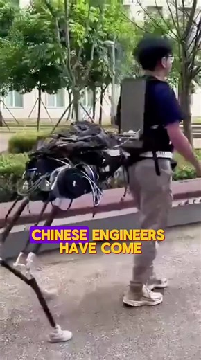 Meet the Robot Assistant: Your New Carrying Companion