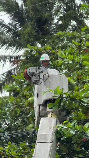63K views · 734 reactions | MORE Power Line Warriors in action during Typhoon Tino. | MORE Power | Facebook