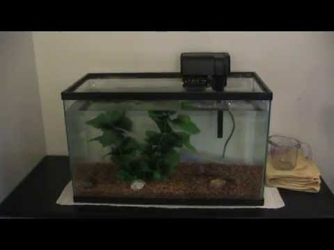 Setting up a Top Fin 10 gallon aquarium starter kit