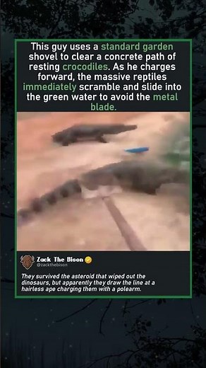 SHOVEL VS APEX PREDATOR