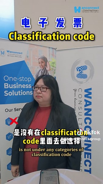 电子发票分类代码的重要性与选择指南