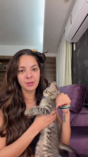 Gato é muito bom, num guentoooo!