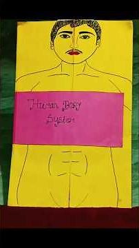 "Human Body Systems 3D Teaching Model" 💀🕵